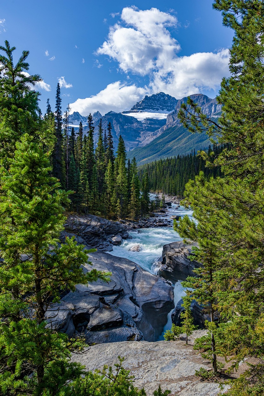 river, rocks, trees, conifer, forest, creek, stream, woods, stones, coniferous, mountains, gorge, scenery, nature, mistaya canyon, mistaya river, banff national park, alberta, canada, river, river, river, creek, scenery, alberta, alberta, alberta, canada, canada, canada, canada, canada